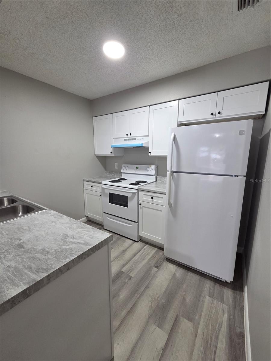 3005 SE 55TH AVE #C, OCALA, FL, 34480