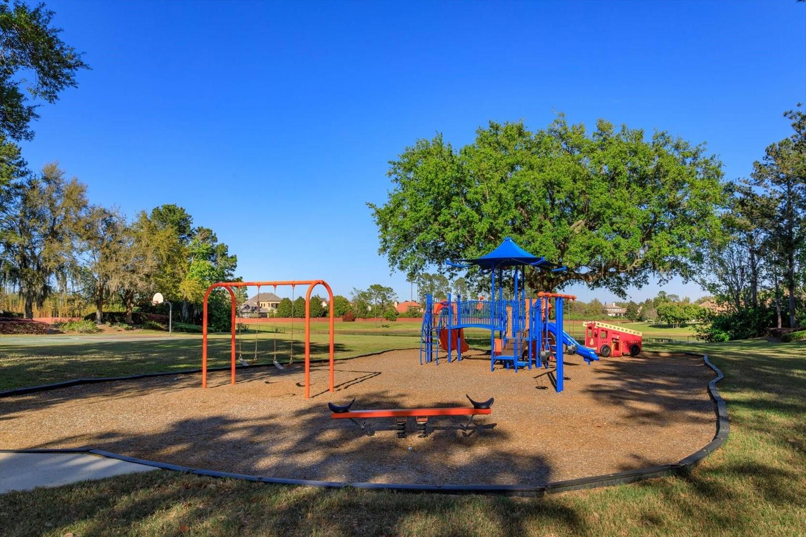 11314 LEDGEMENT LN, WINDERMERE, FL, 34786