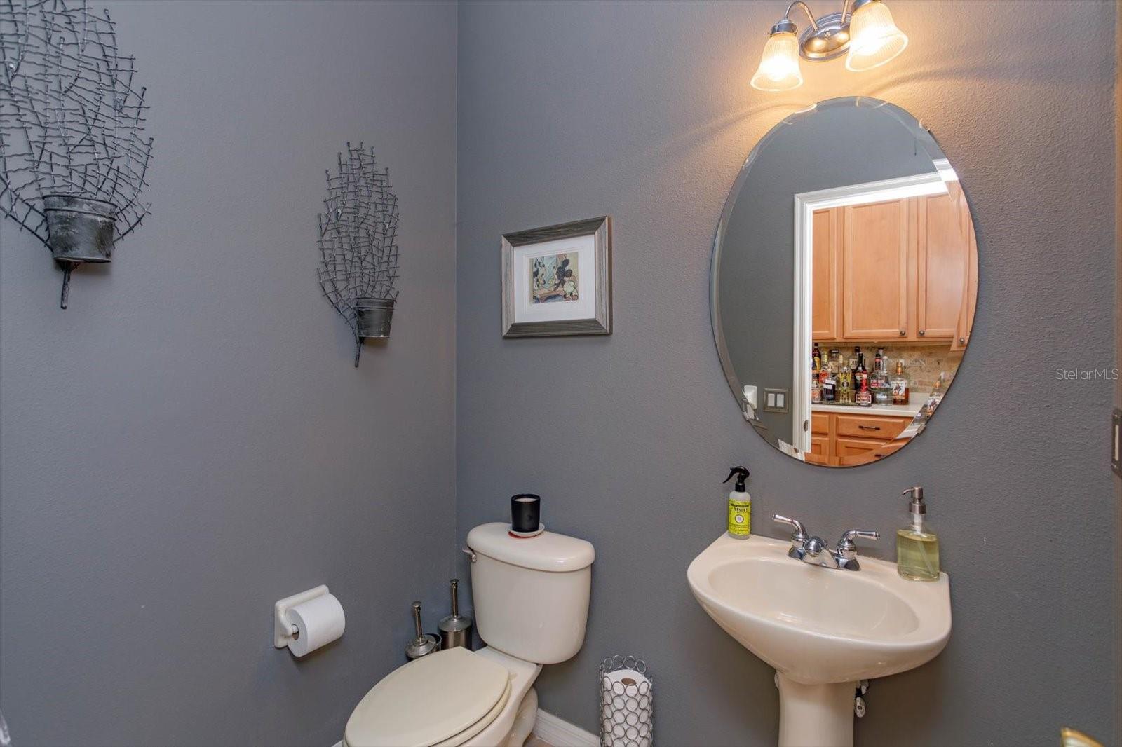 11314 LEDGEMENT LN, WINDERMERE, FL, 34786