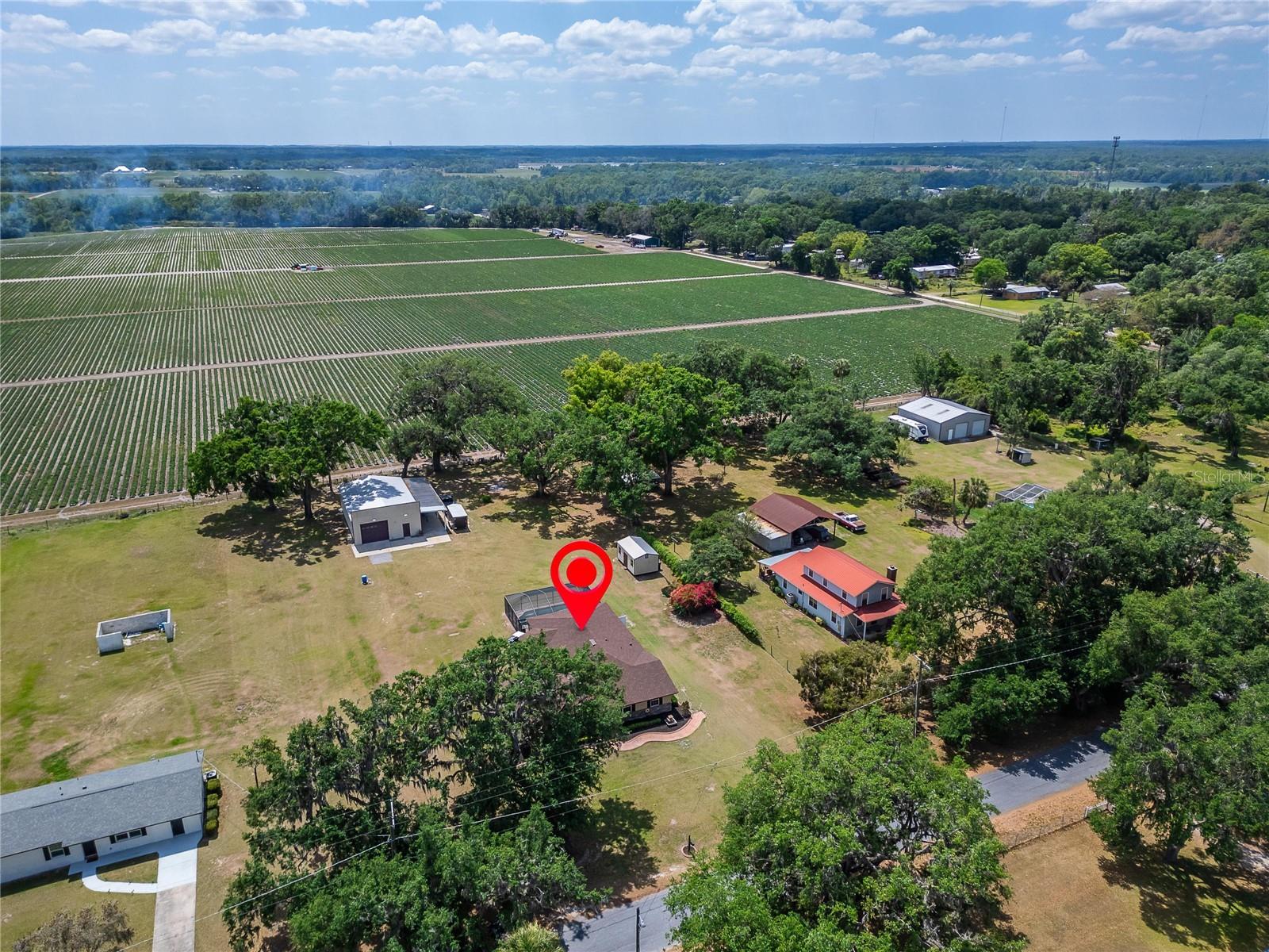 7045 DURANT RD, PLANT CITY, FL, 33567