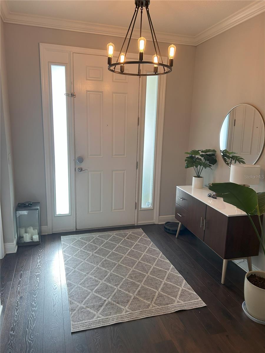 11610 NAVEL ORANGE WAY, TAMPA, FL, 33626