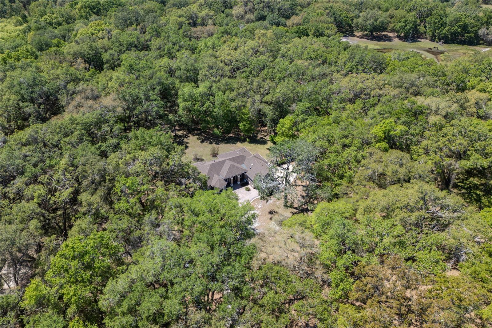445 SE 98TH AVE, WEBSTER, FL, 33597