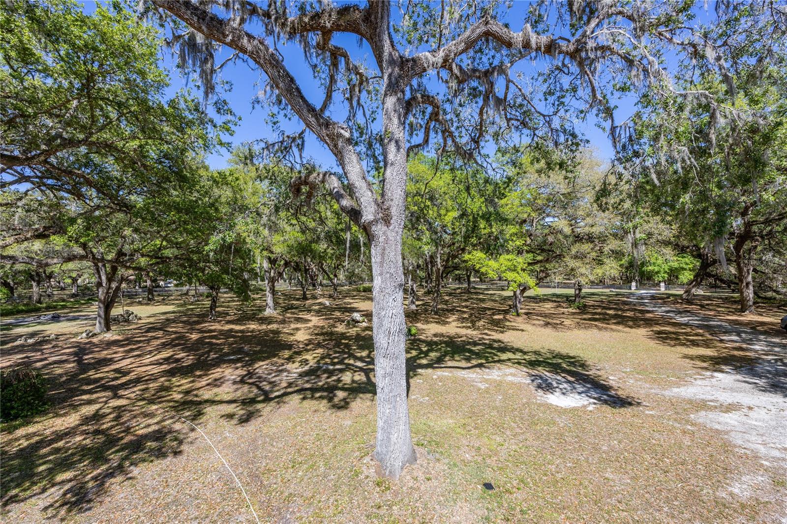 445 SE 98TH AVE, WEBSTER, FL, 33597