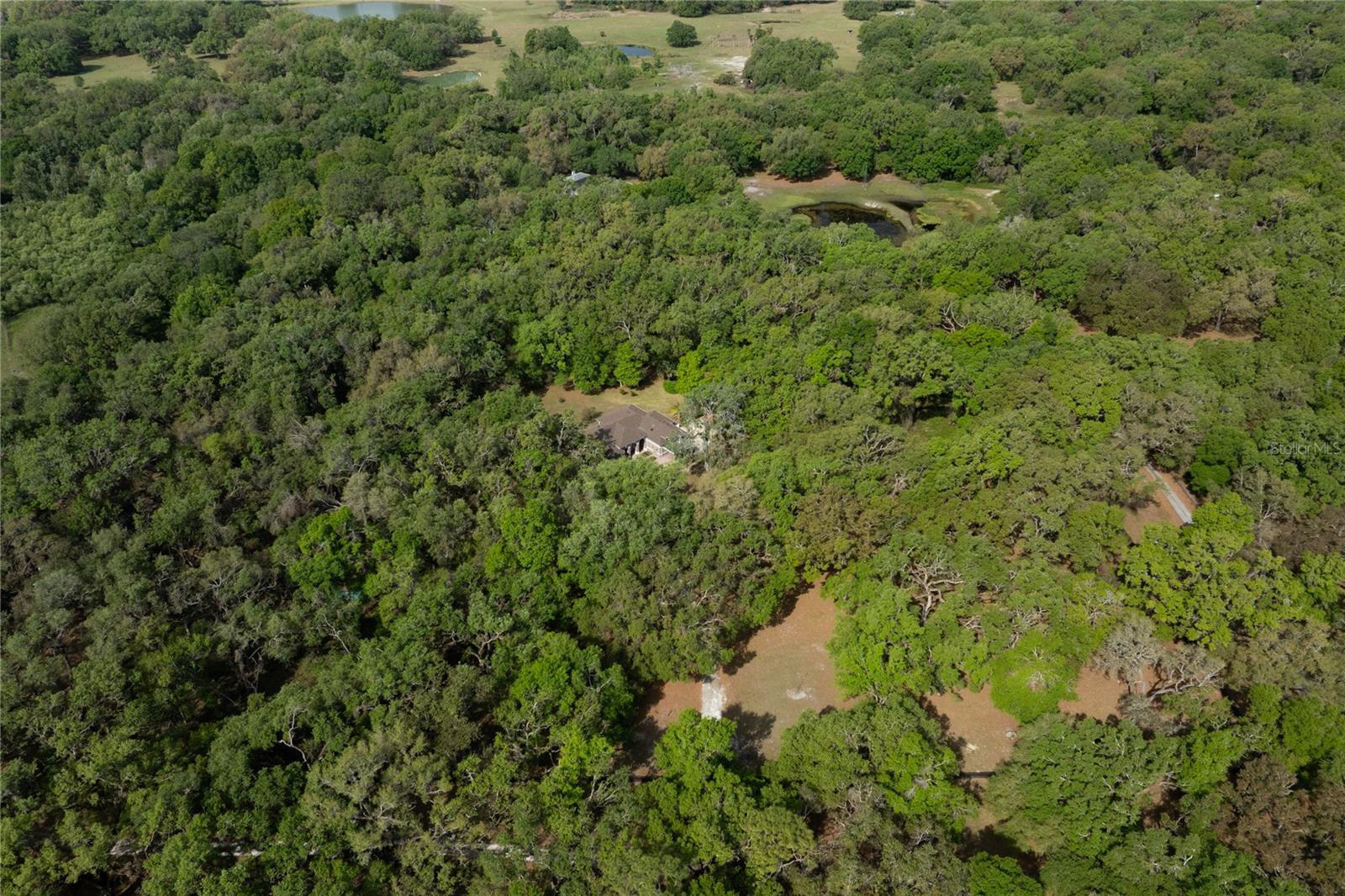 445 SE 98TH AVE, WEBSTER, FL, 33597