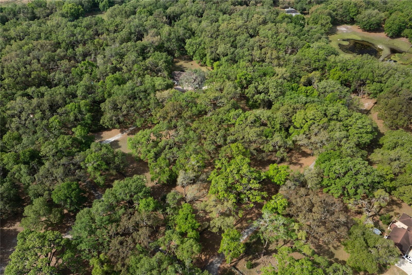 445 SE 98TH AVE, WEBSTER, FL, 33597