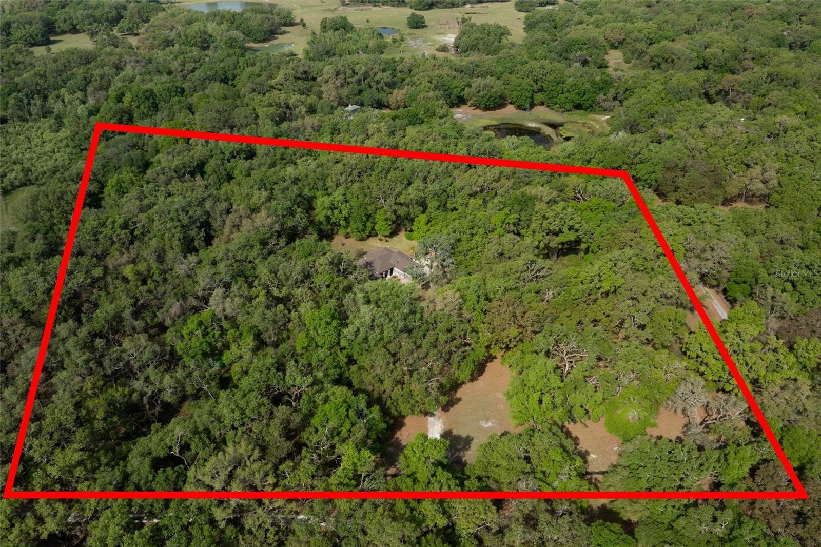 445 SE 98TH AVE, WEBSTER, FL, 33597