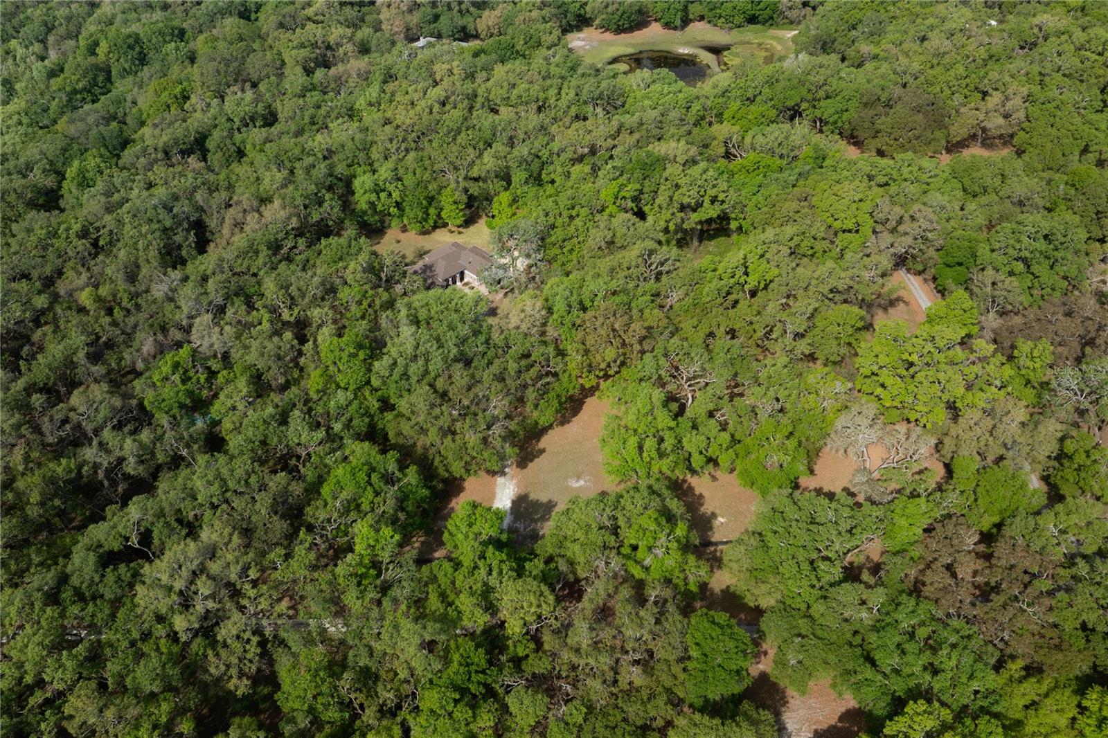 445 SE 98TH AVE, WEBSTER, FL, 33597