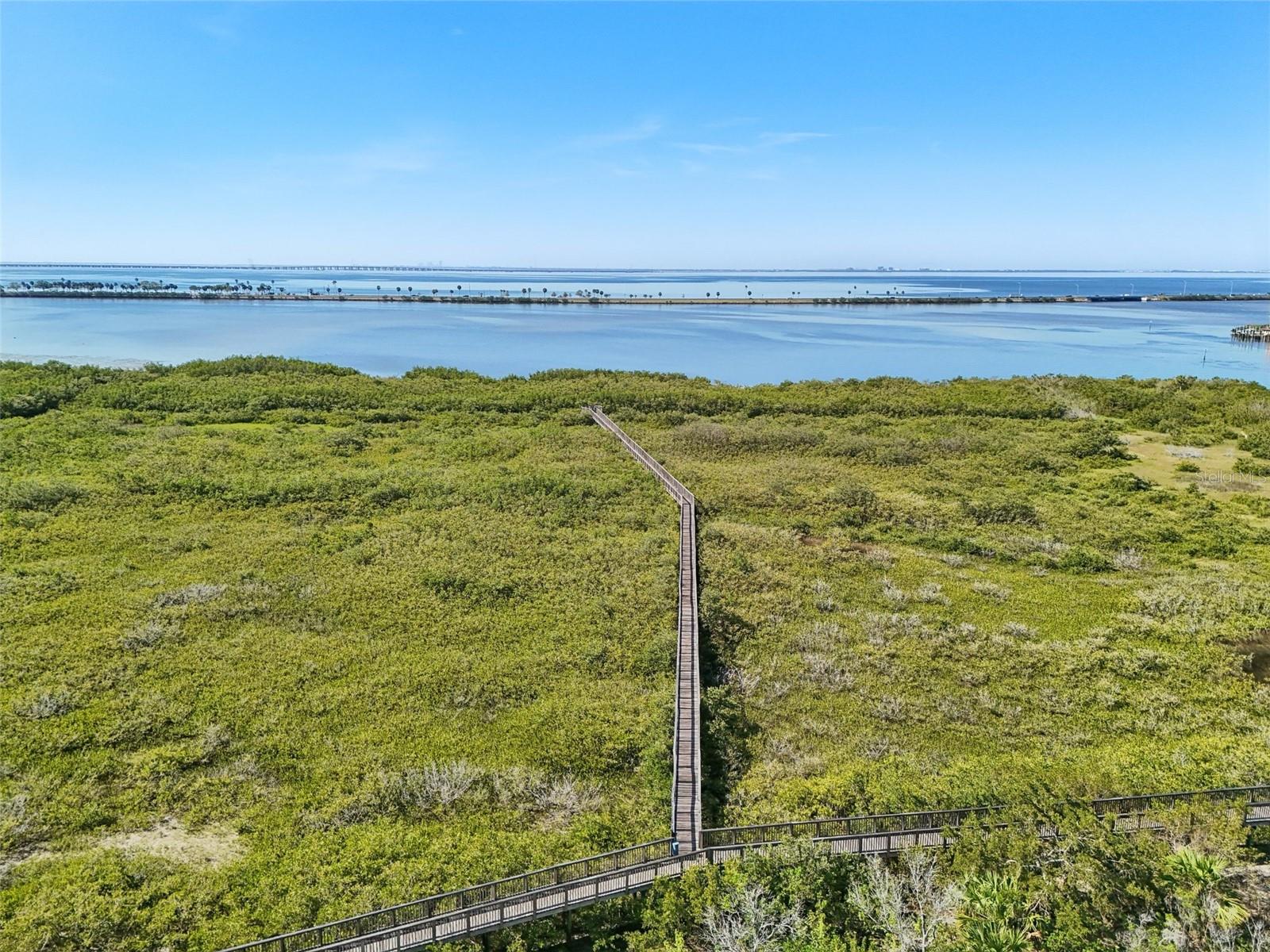 8408 FLAGSTONE DR, TAMPA, FL, 33615