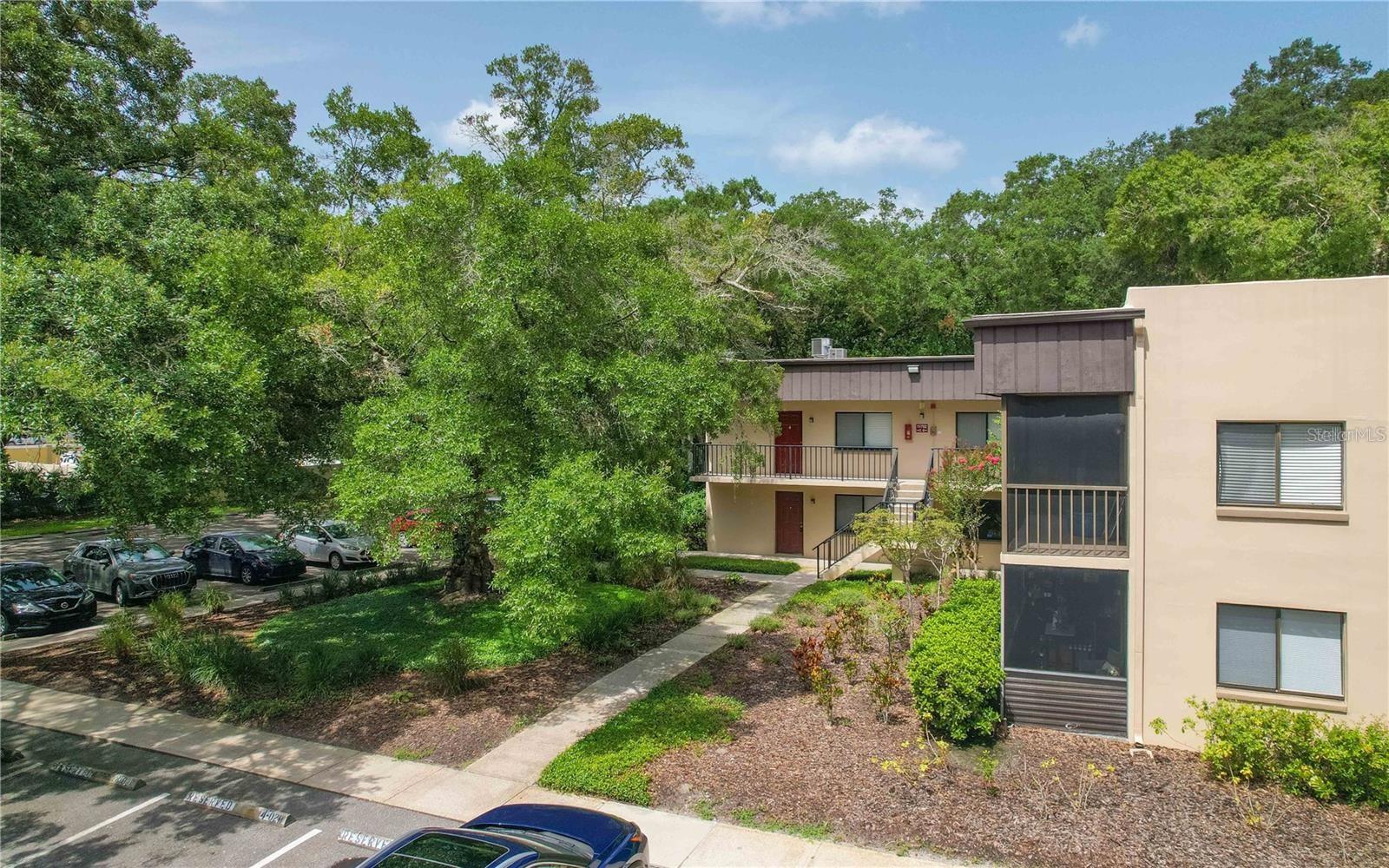 11702 RAINTREE VILLAGE BLVD #A, TEMPLE TERRACE, FL, 33617