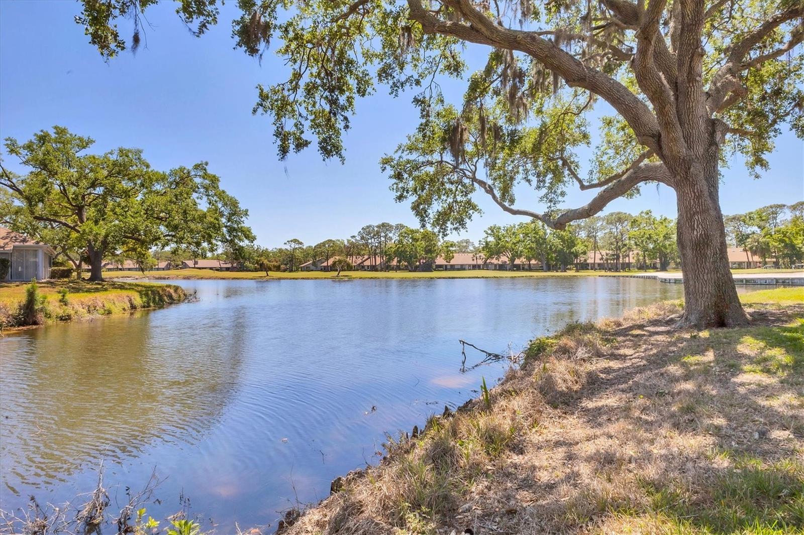 5336 CHARMES #12, SARASOTA, FL, 34235