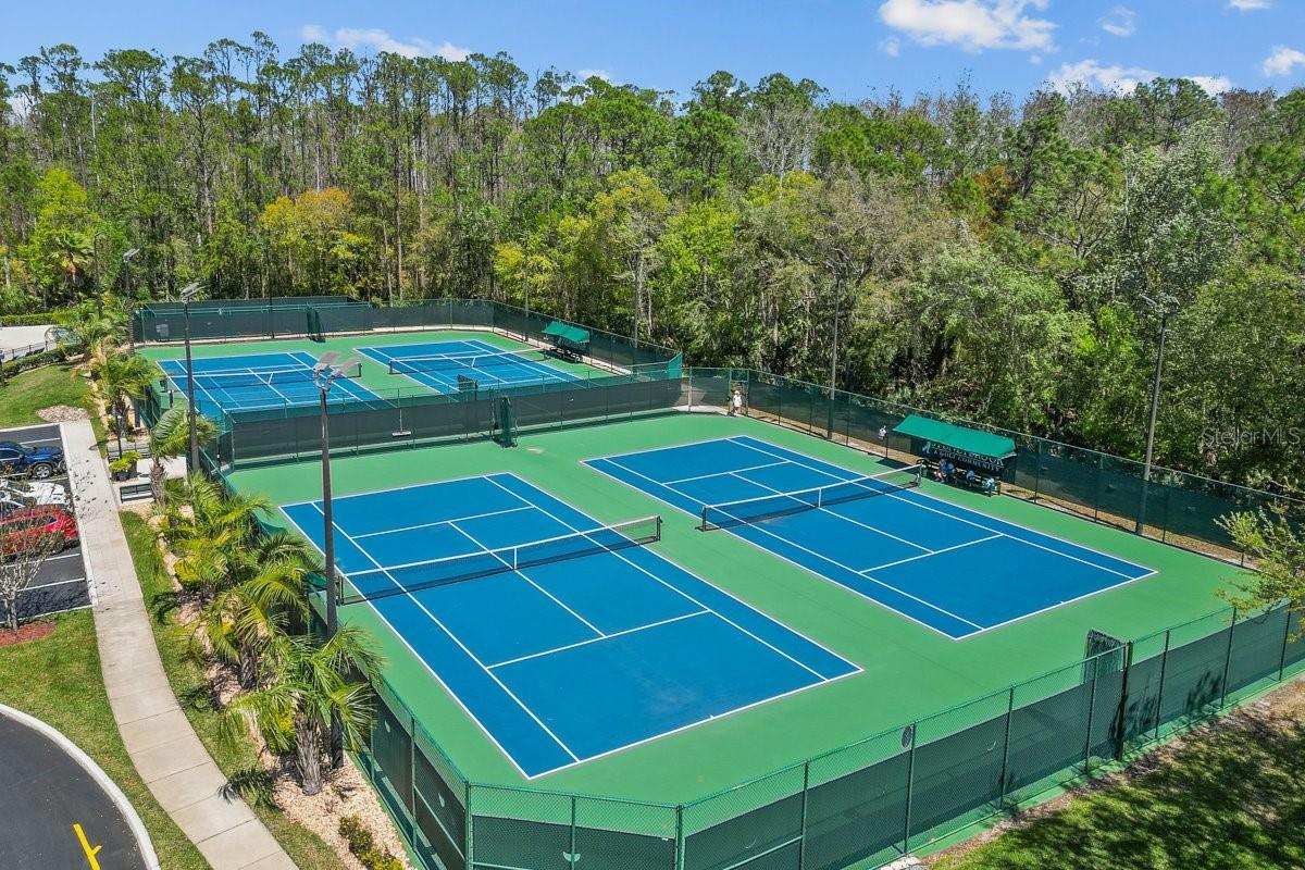 14931 HAWKSMOOR RUN CIR, ORLANDO, FL, 32828