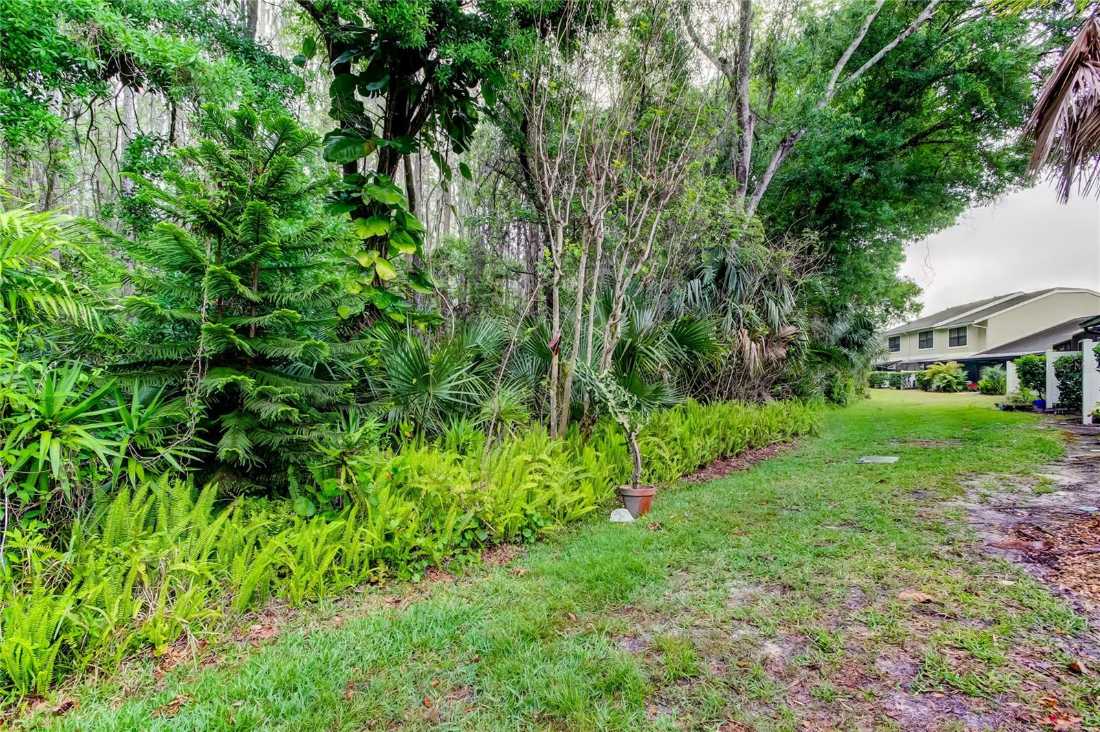 5100 BURCHETTE RD #602, TAMPA, FL, 33647