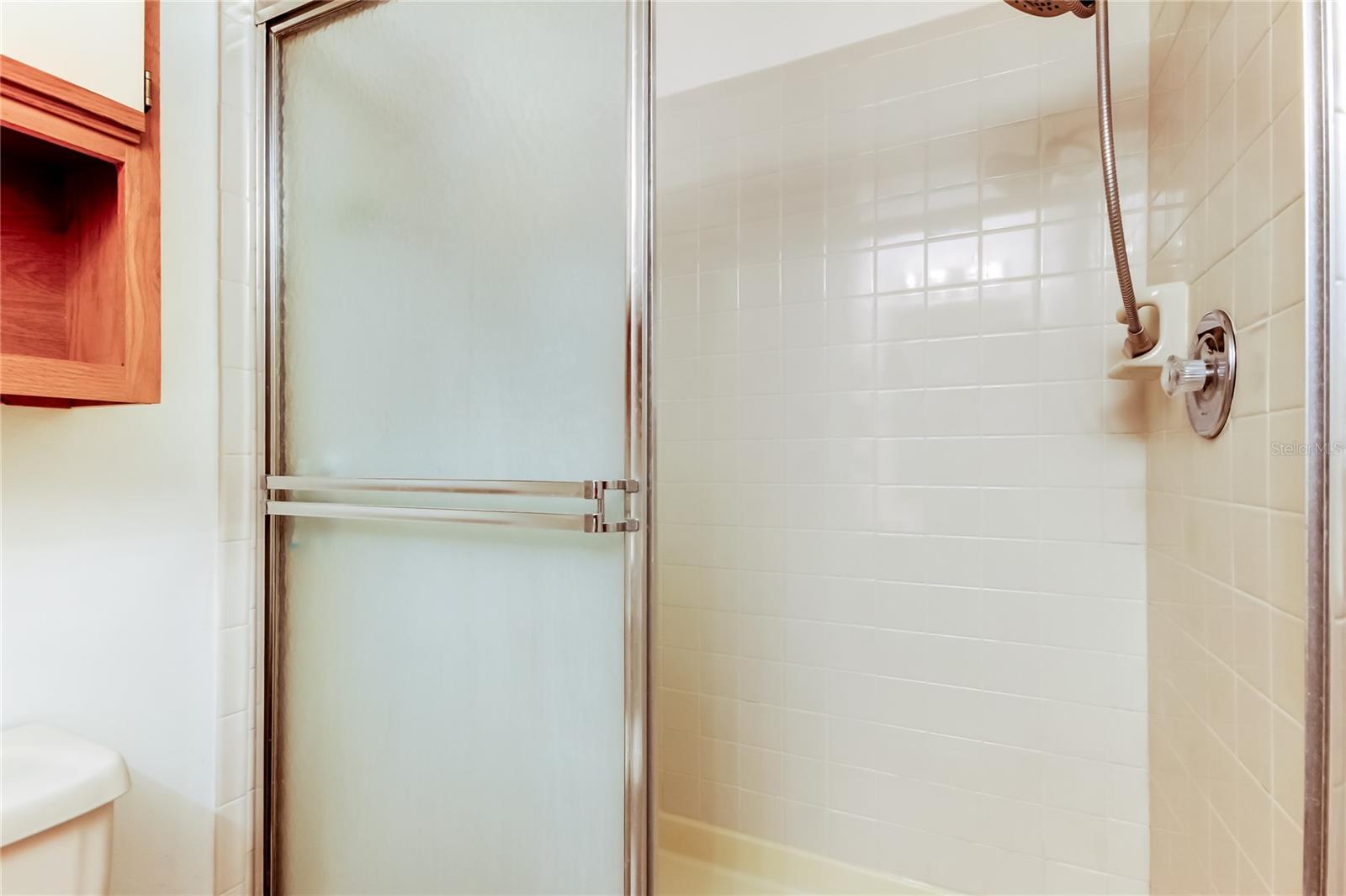 5100 BURCHETTE RD #602, TAMPA, FL, 33647