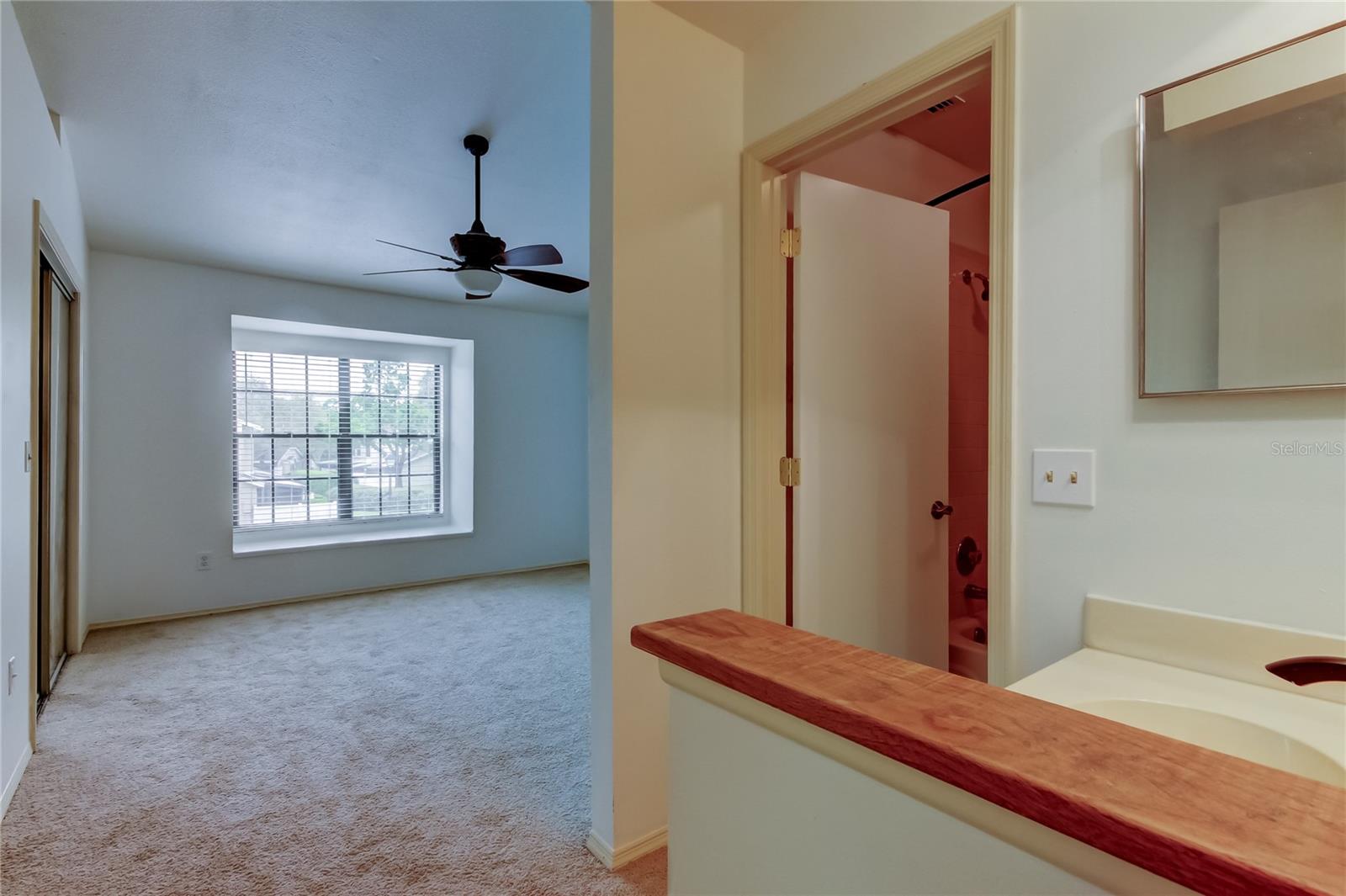 5100 BURCHETTE RD #602, TAMPA, FL, 33647