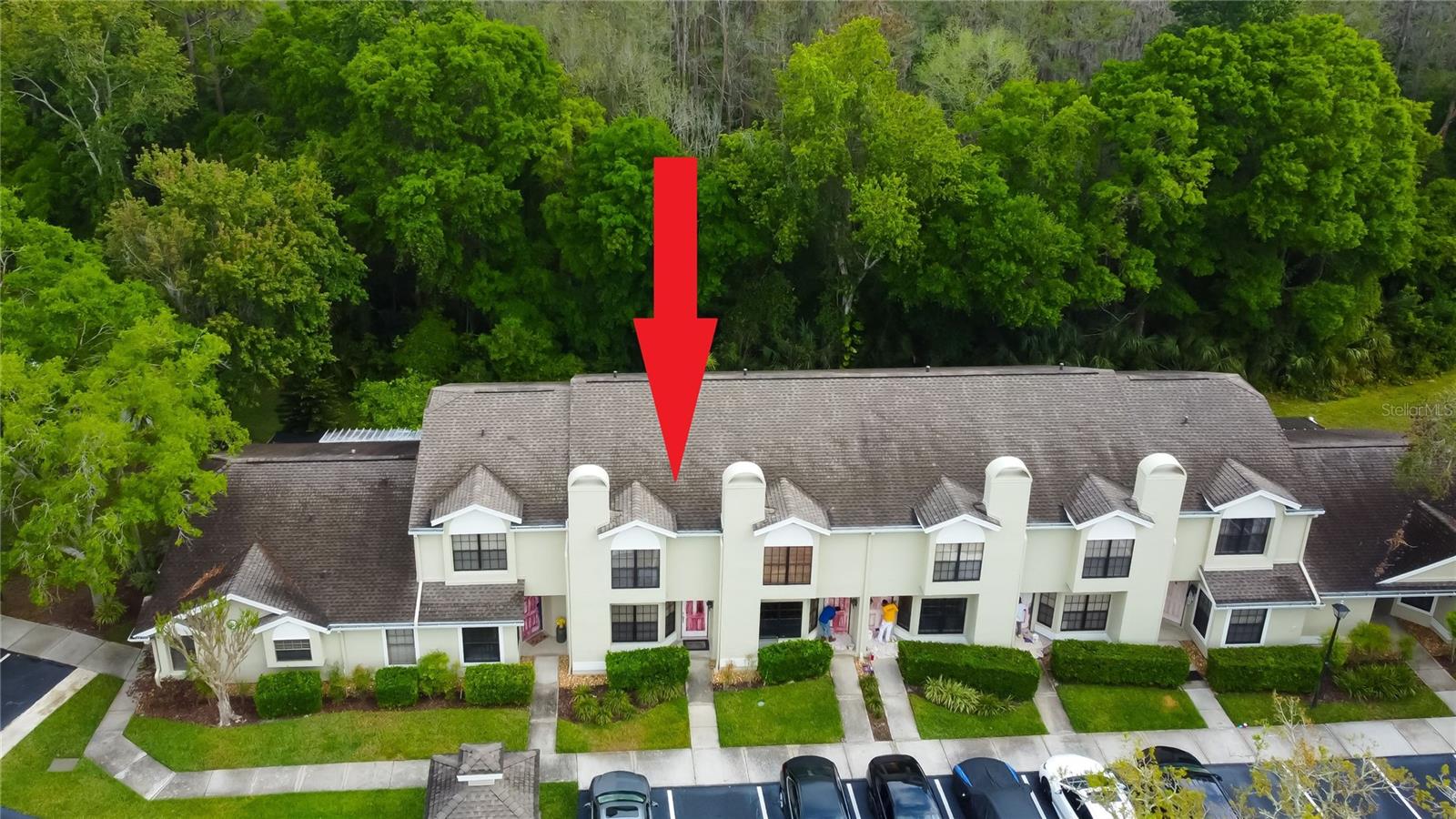 5100 BURCHETTE RD #602, TAMPA, FL, 33647