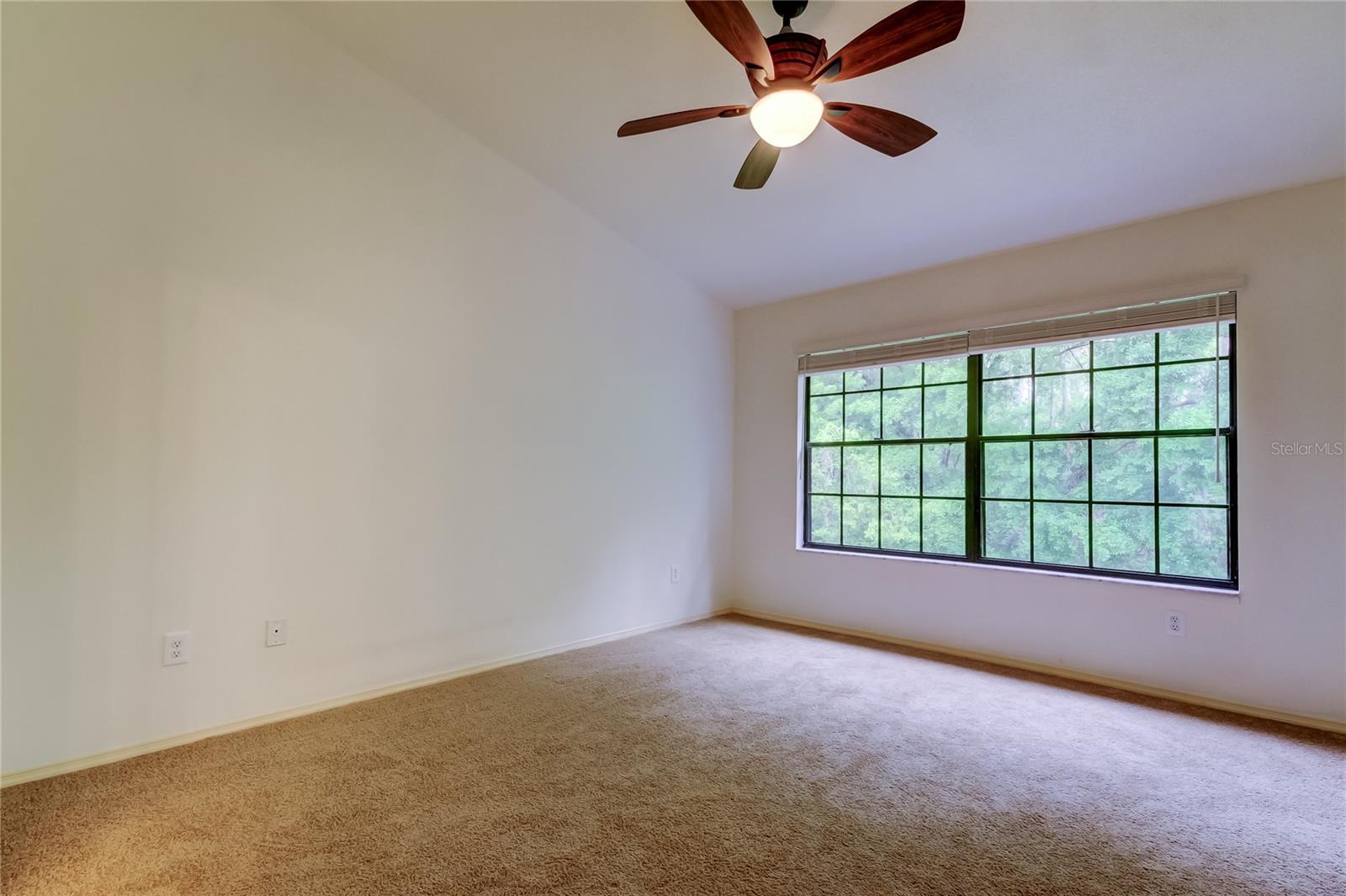 5100 BURCHETTE RD #602, TAMPA, FL, 33647