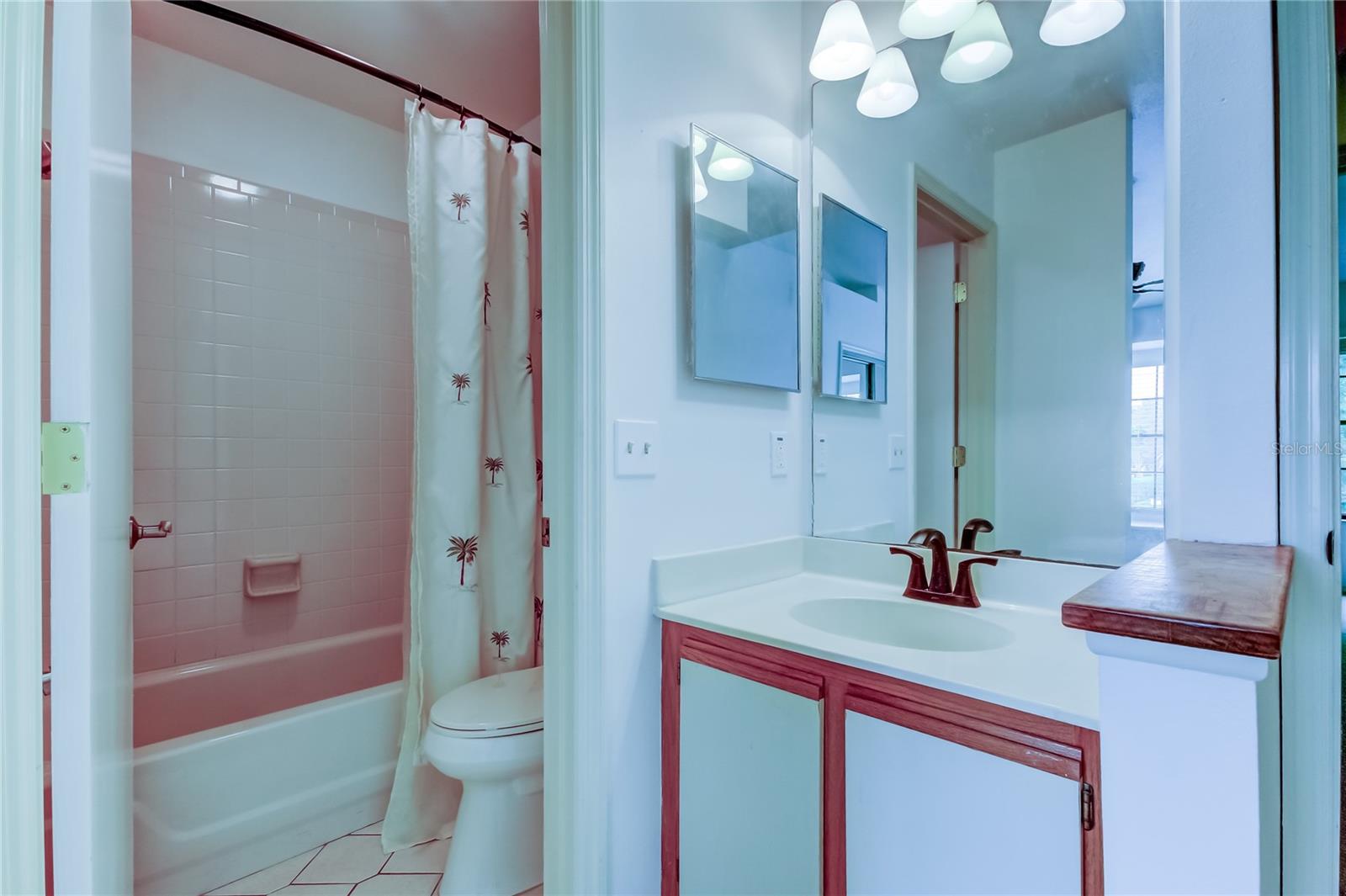 5100 BURCHETTE RD #602, TAMPA, FL, 33647