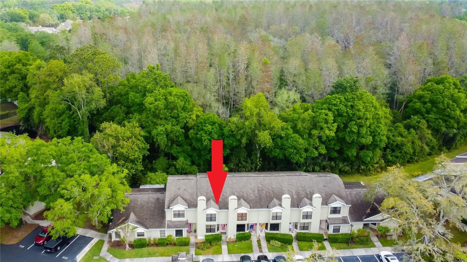 5100 BURCHETTE RD #602, TAMPA, FL, 33647