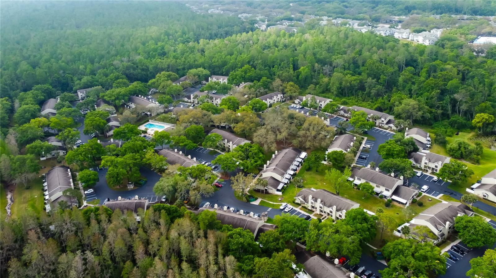 5100 BURCHETTE RD #602, TAMPA, FL, 33647