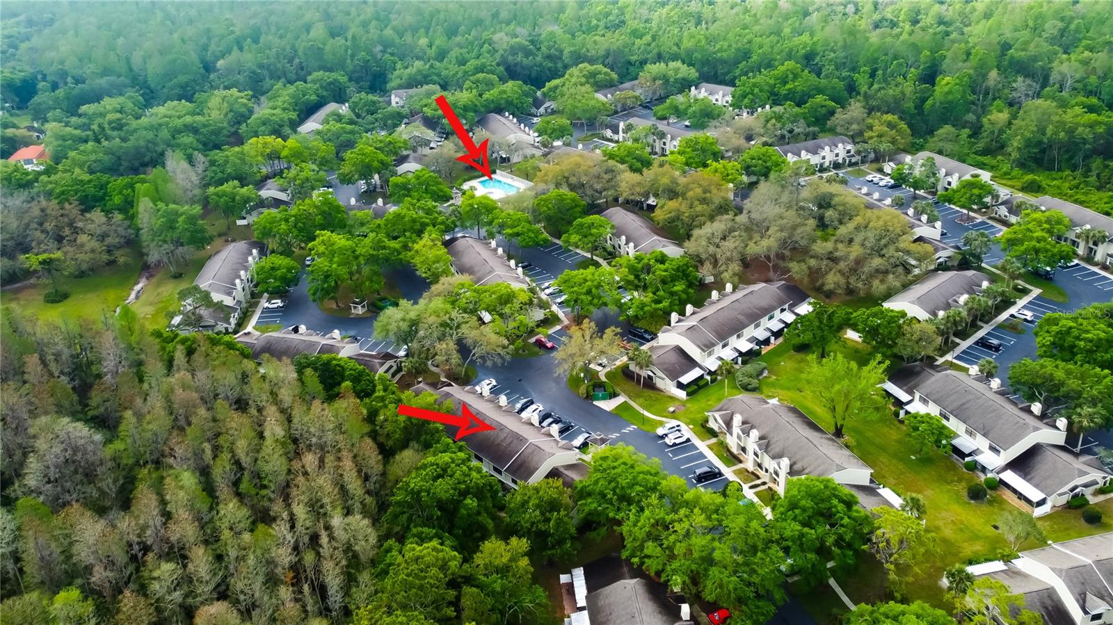 5100 BURCHETTE RD #602, TAMPA, FL, 33647