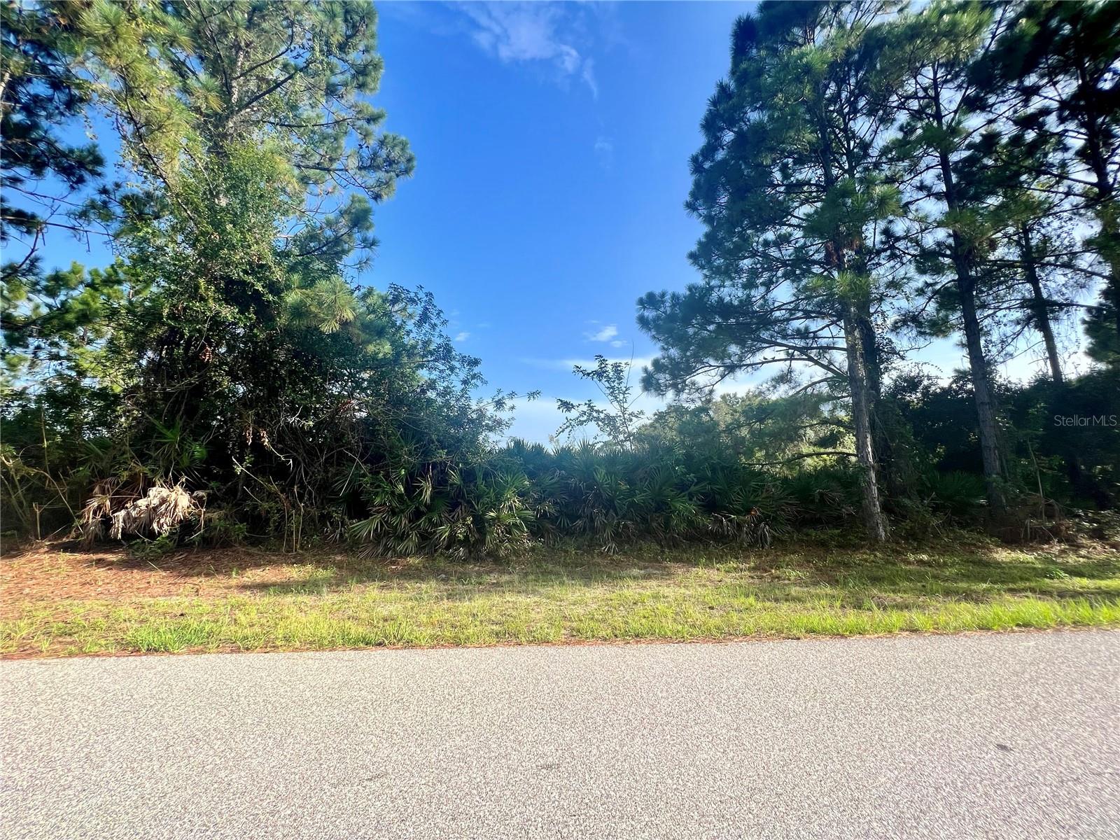 12415 DEEPWOODS AVE, PORT CHARLOTTE, FL, 33981