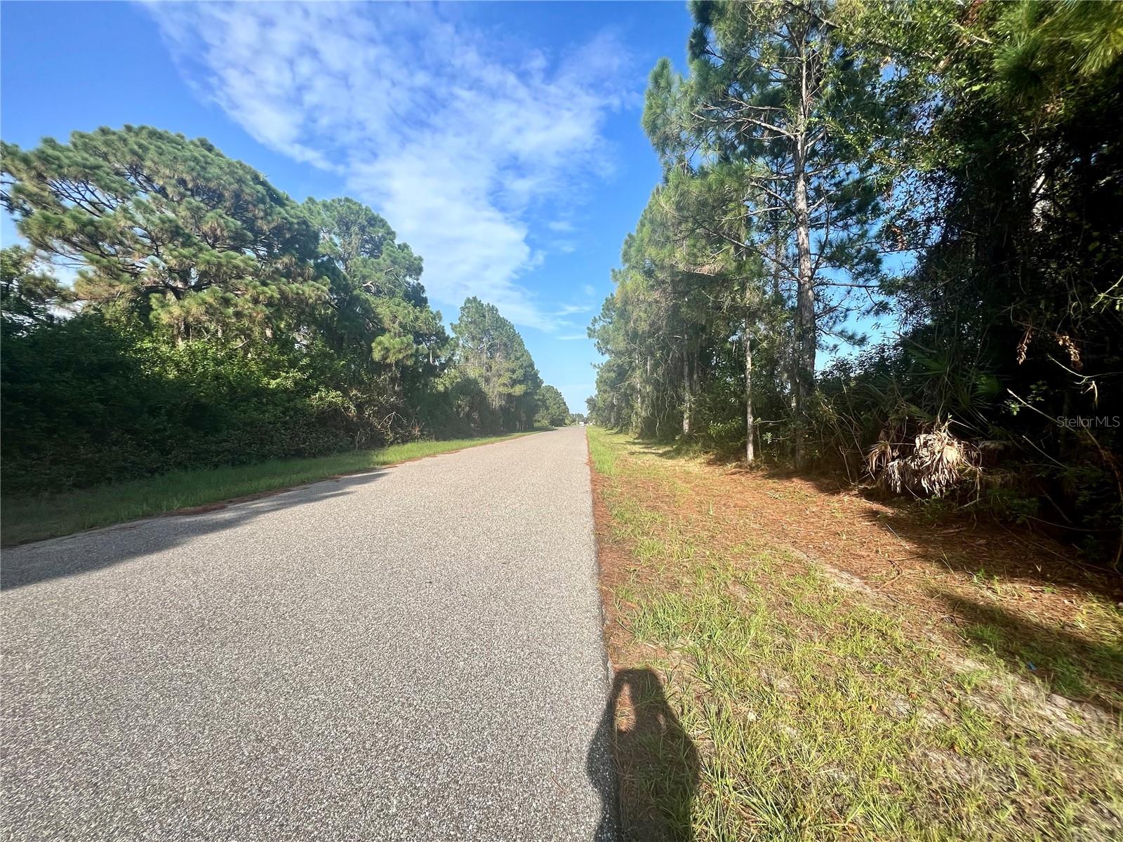 12415 DEEPWOODS AVE, PORT CHARLOTTE, FL, 33981