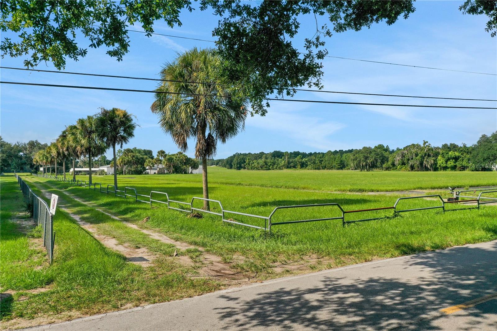 119 POMONA LANDING RD, POMONA PARK, FL, 32181