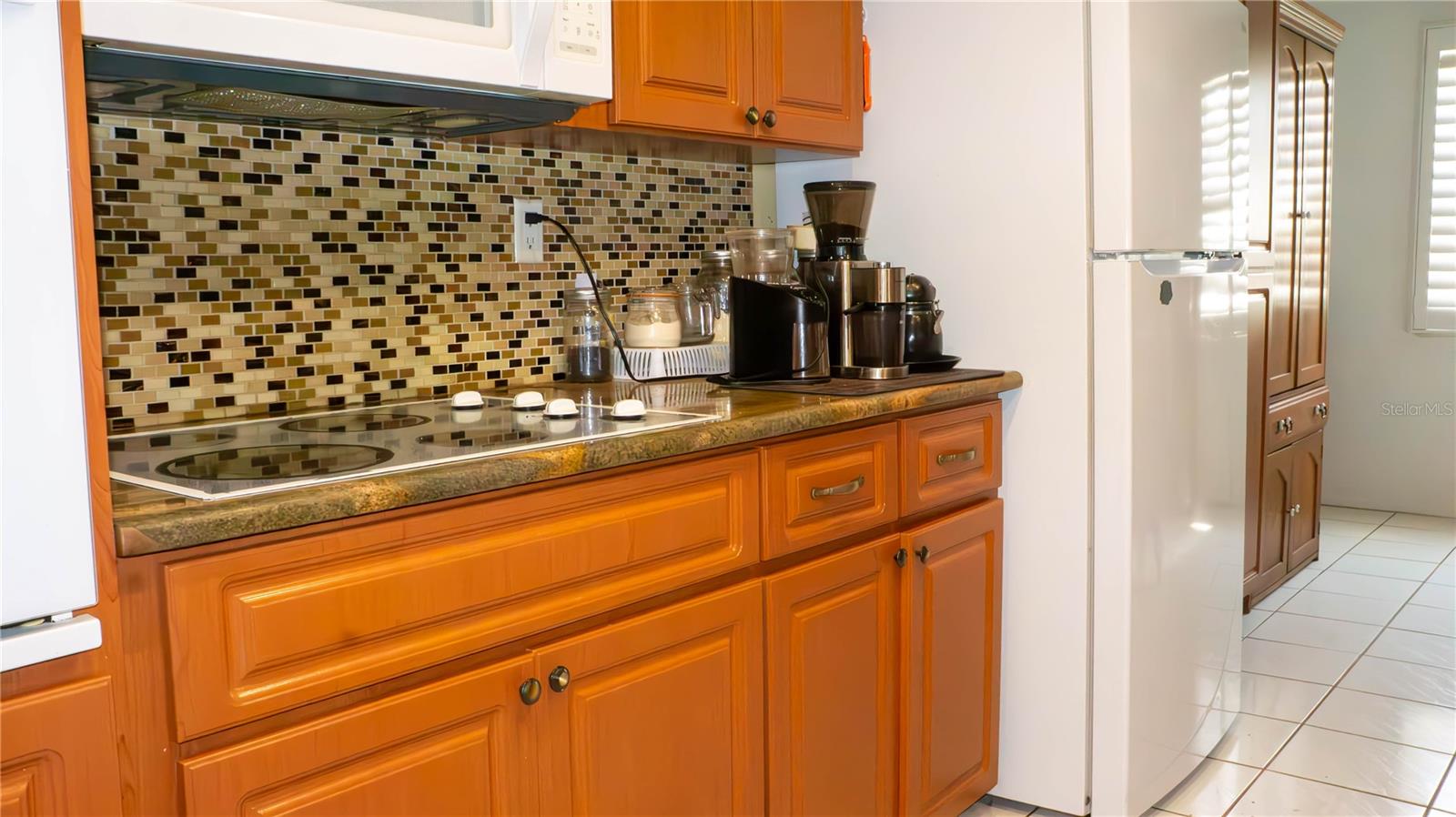 7321 SAN MORITZ DR, PORT RICHEY, FL, 34668