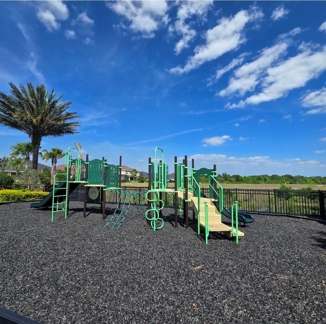 15335 CALMING BALSAM ALY, WINTER GARDEN, FL, 34787