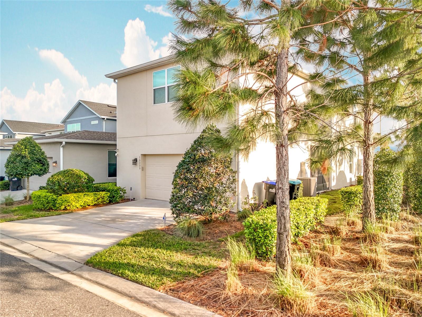 15335 CALMING BALSAM ALY, WINTER GARDEN, FL, 34787
