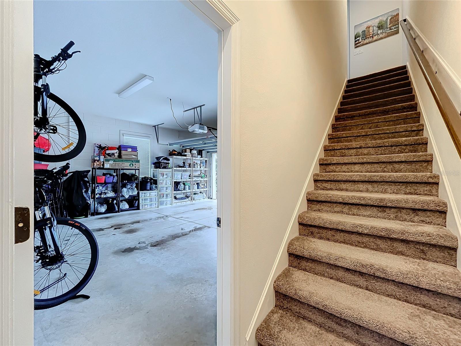 15335 CALMING BALSAM ALY, WINTER GARDEN, FL, 34787