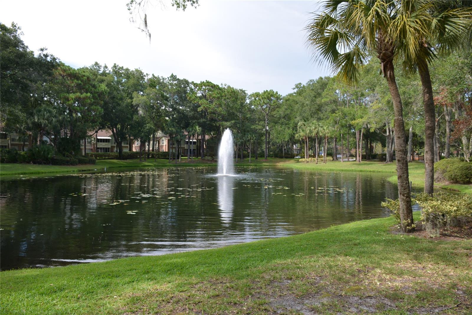 528 WOODVIEW DR, LONGWOOD, FL, 32779