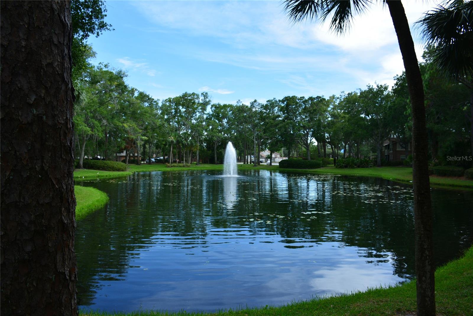 528 WOODVIEW DR, LONGWOOD, FL, 32779