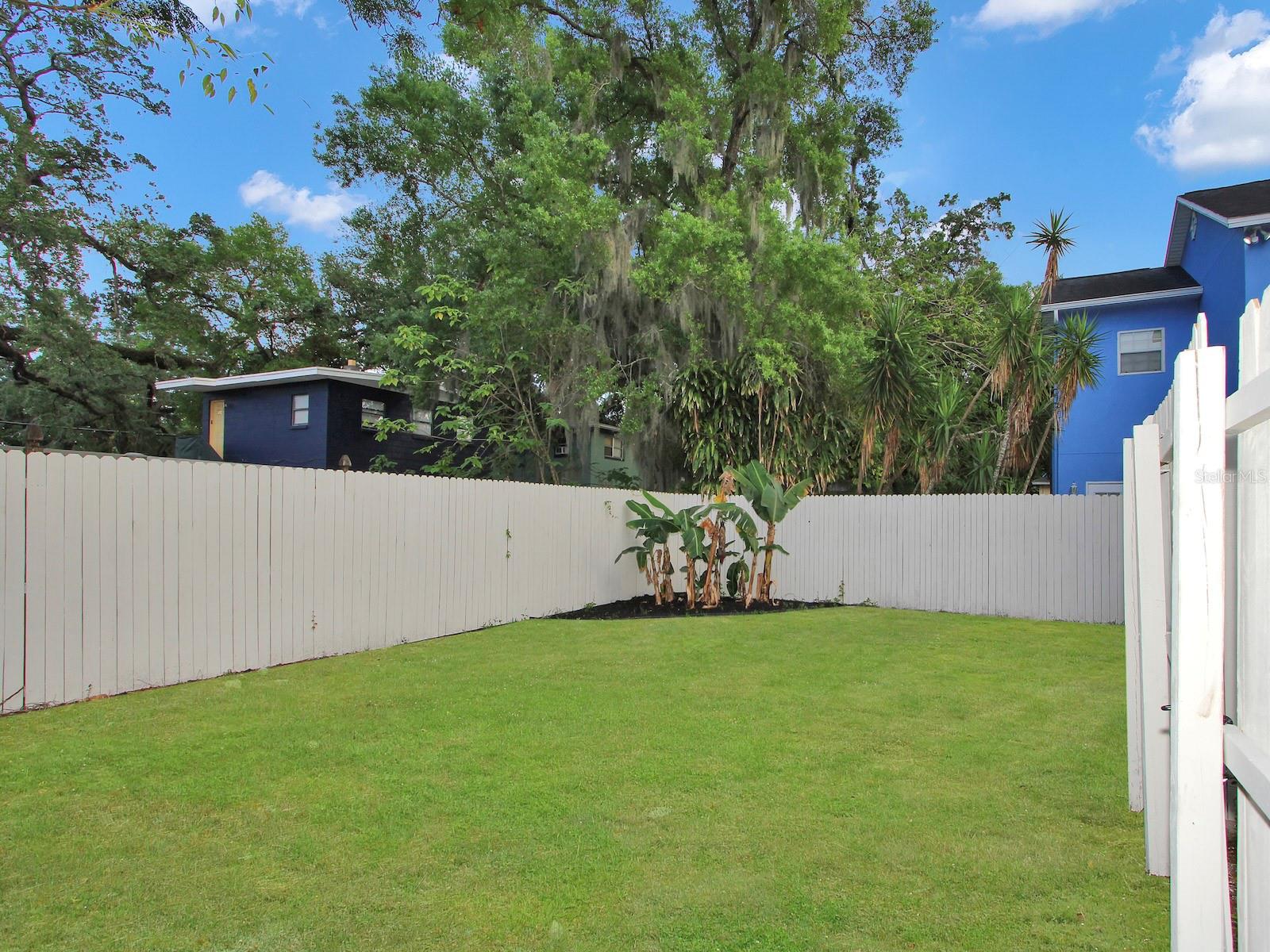 815 MCFALL AVE, ORLANDO, FL, 32805