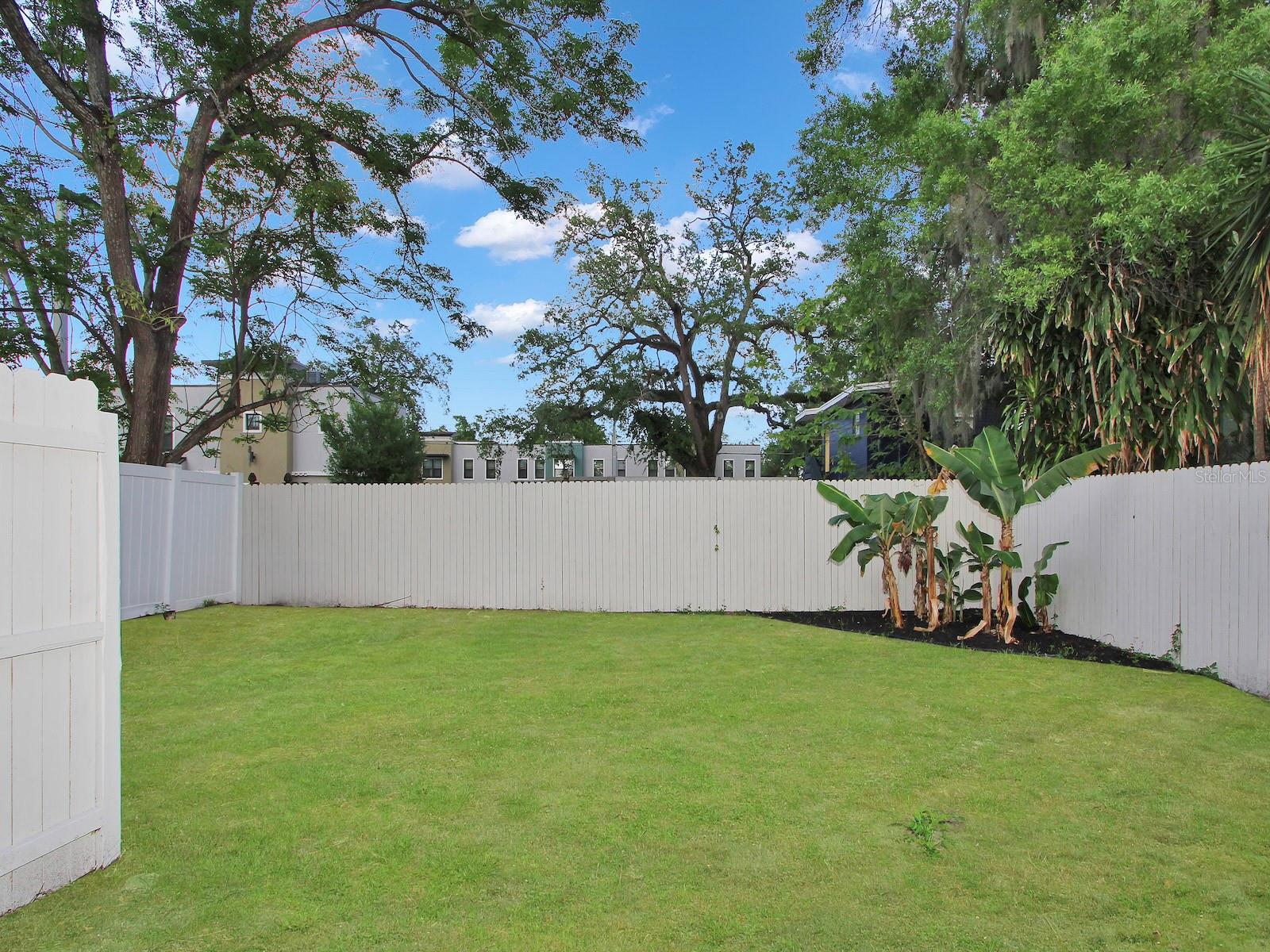 815 MCFALL AVE, ORLANDO, FL, 32805