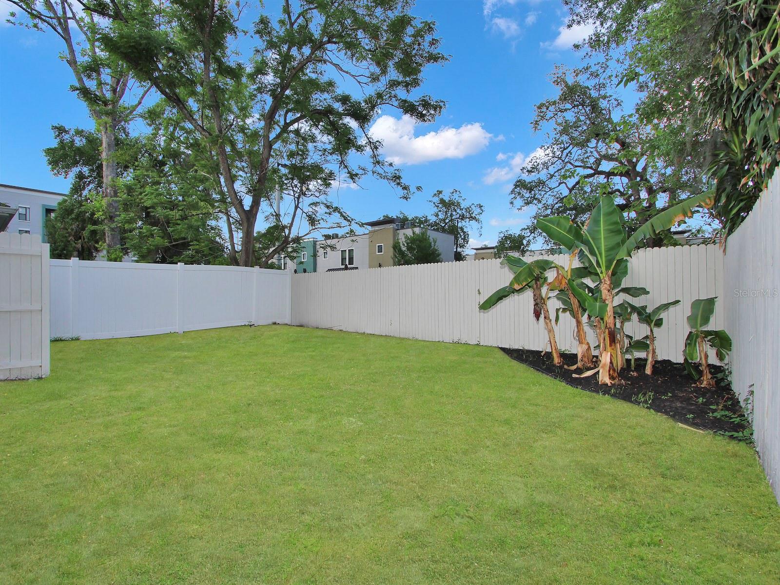 815 MCFALL AVE, ORLANDO, FL, 32805