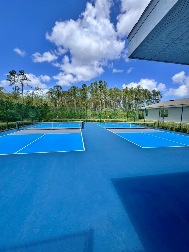 3024 MELETO BLVD, NEW SMYRNA BEACH, FL, 32168
