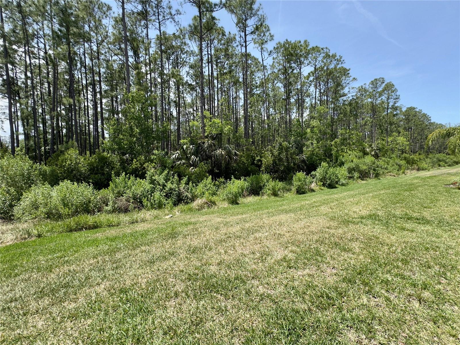3024 MELETO BLVD, NEW SMYRNA BEACH, FL, 32168
