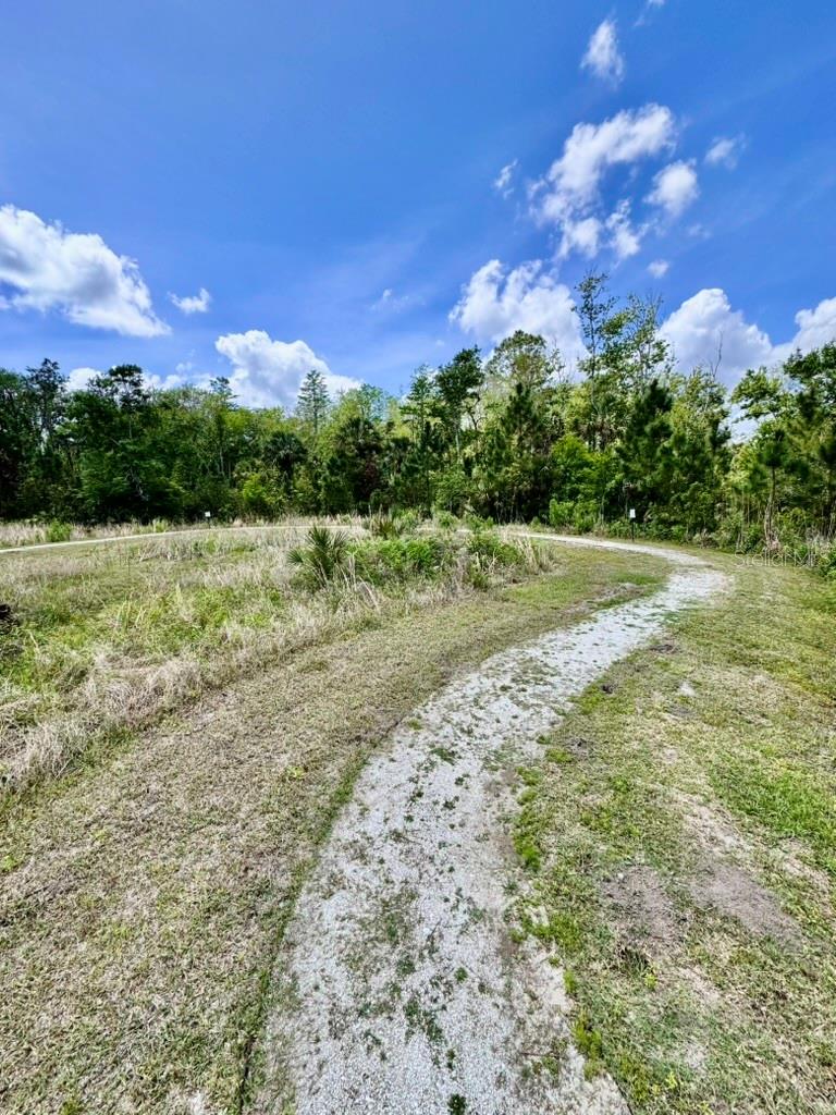 3024 MELETO BLVD, NEW SMYRNA BEACH, FL, 32168
