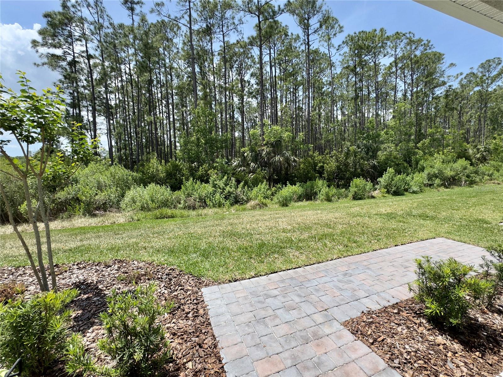 3024 MELETO BLVD, NEW SMYRNA BEACH, FL, 32168