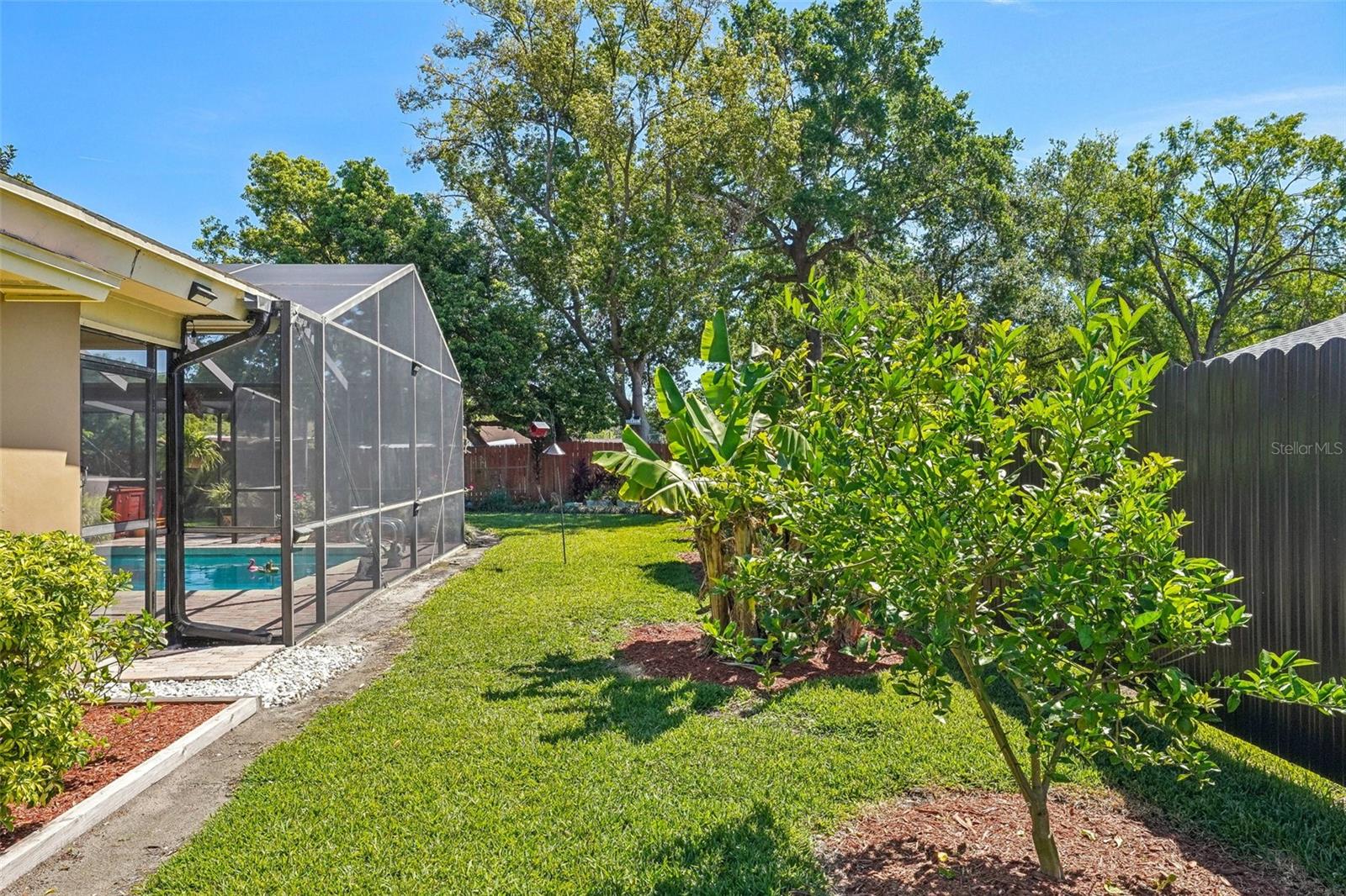 2704 HERNDON ST, VALRICO, FL, 33596