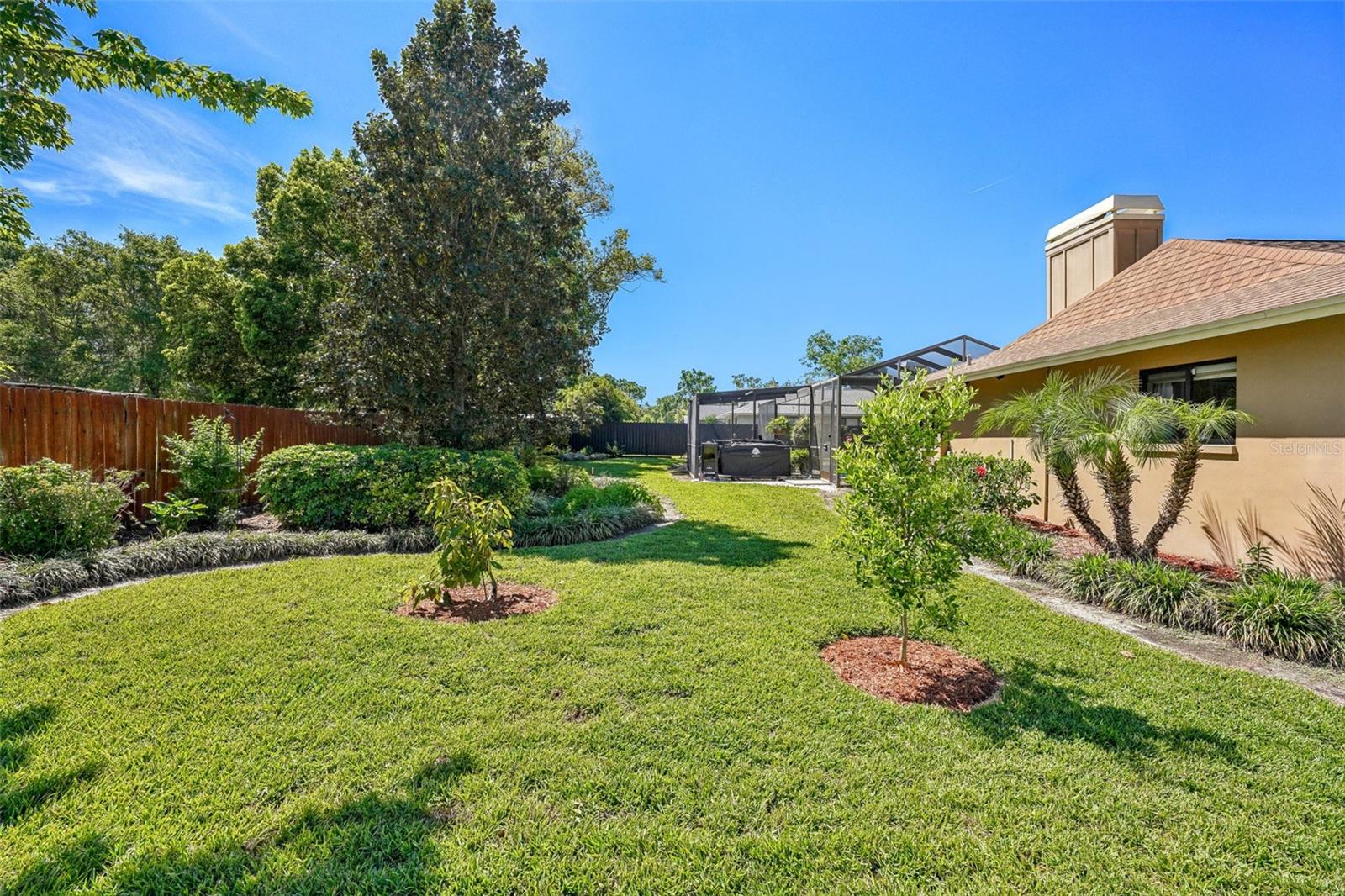 2704 HERNDON ST, VALRICO, FL, 33596