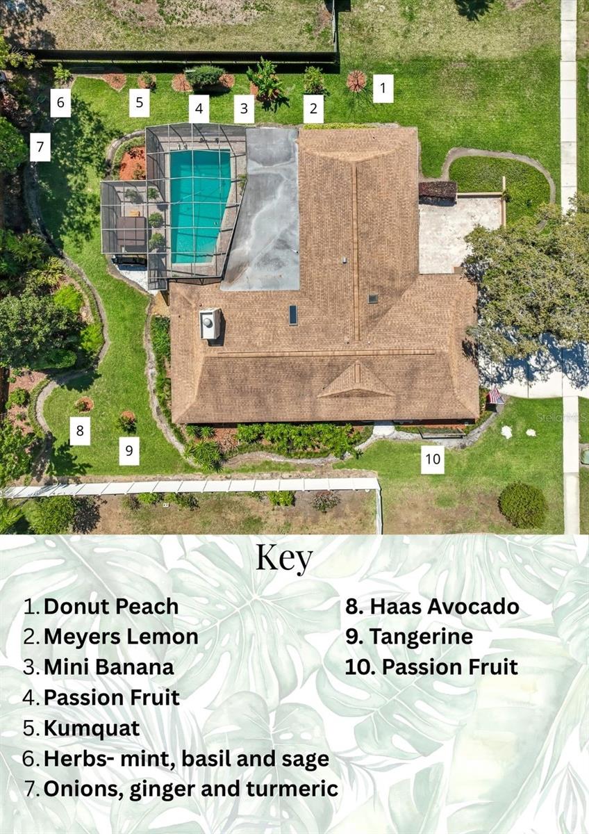 2704 HERNDON ST, VALRICO, FL, 33596