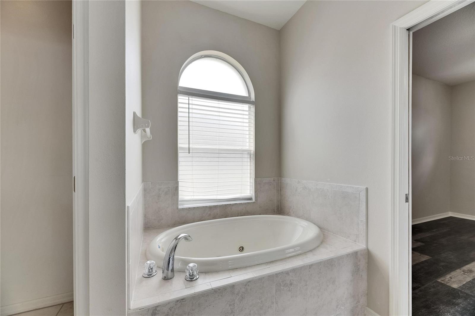 6803 RUNNER OAK DR, WESLEY CHAPEL, FL, 33545