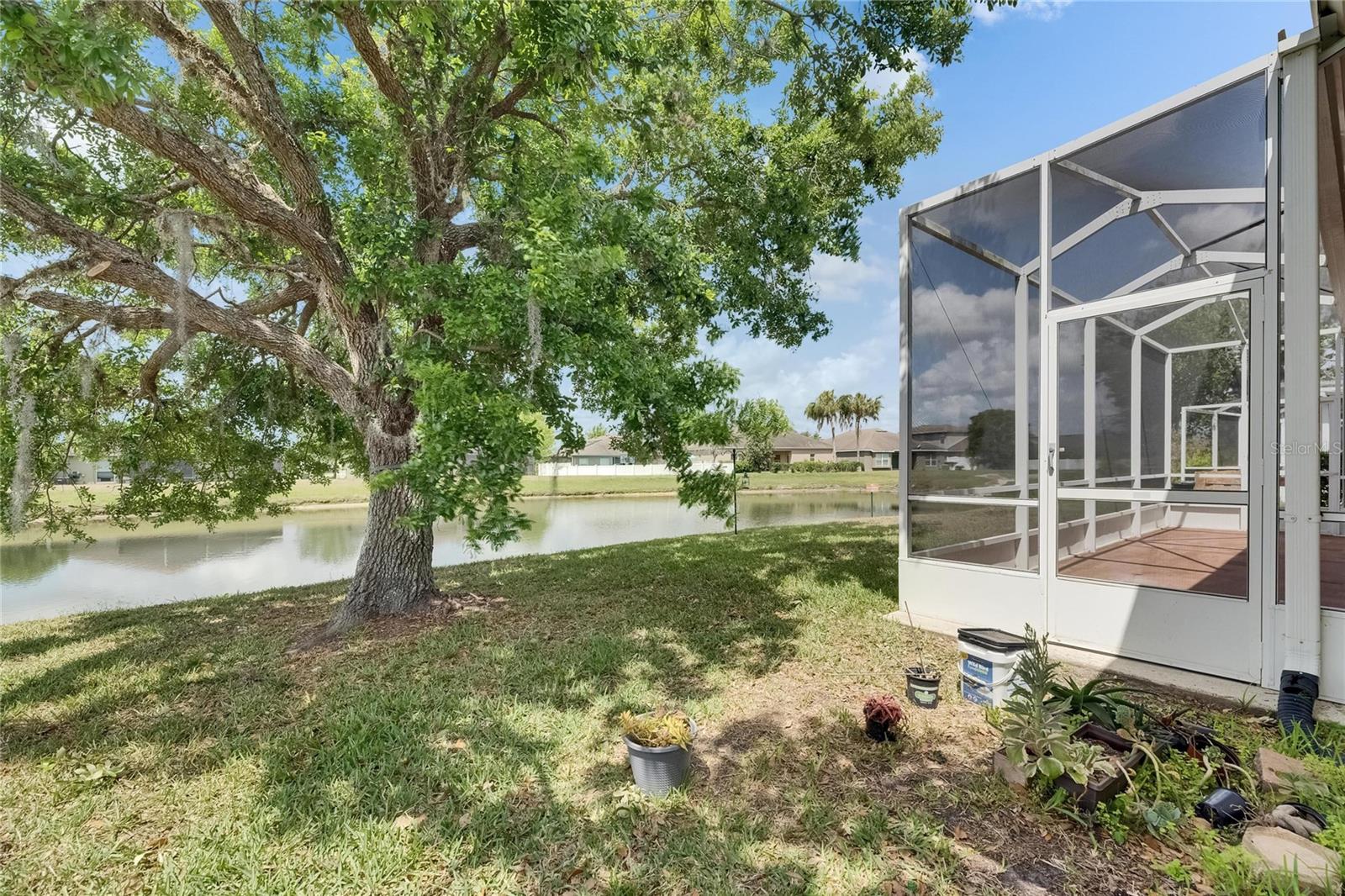 6803 RUNNER OAK DR, WESLEY CHAPEL, FL, 33545