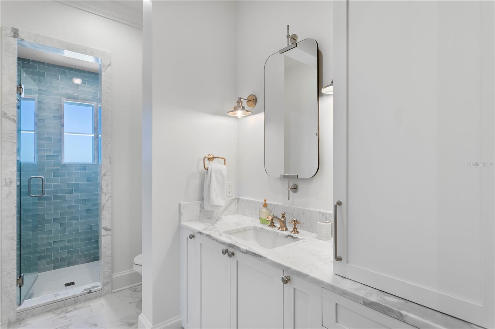 1695 BRIGHTWATERS BLVD NE, ST PETERSBURG, FL, 33704