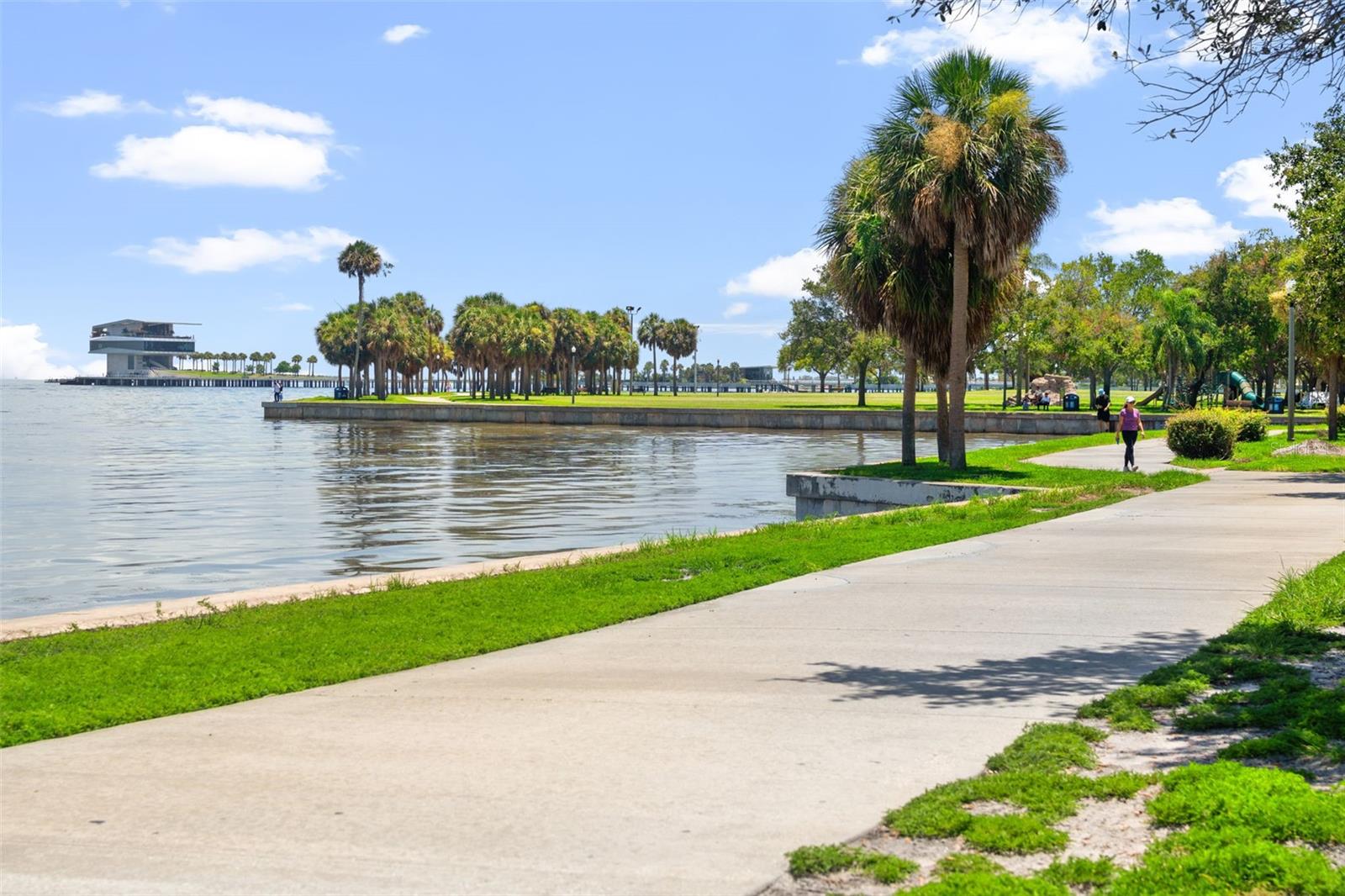 907 ARLINGTON AVE N, ST PETERSBURG, FL, 33705