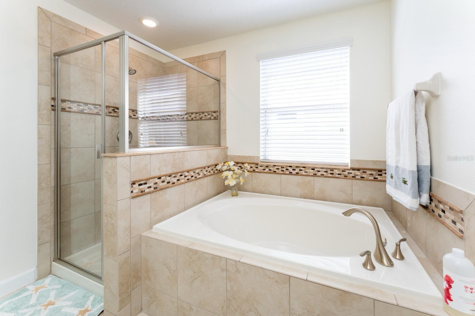 5917 GRASSY POINT RD, WINTER GARDEN, FL, 34787