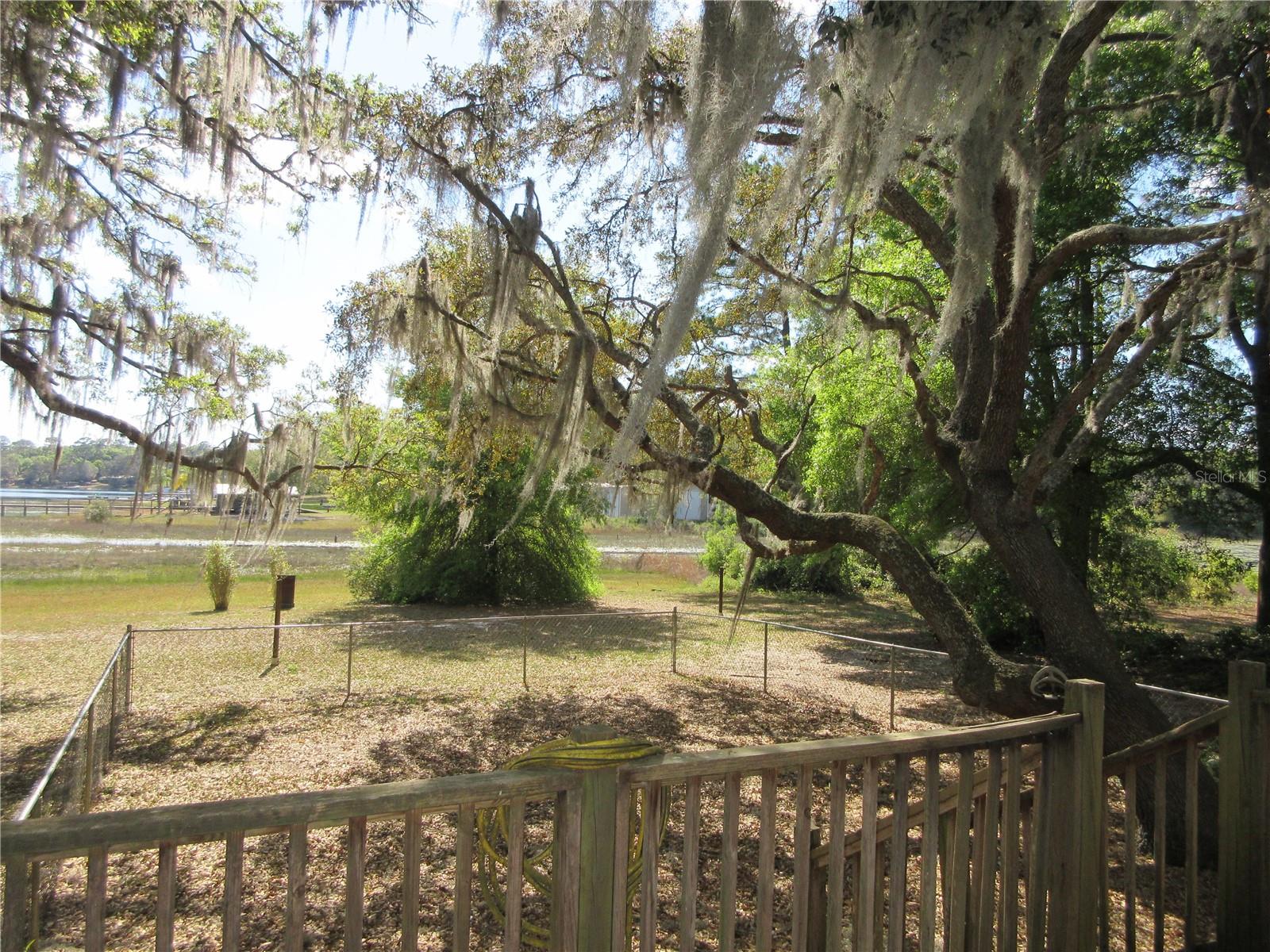 180 SE 167TH CT, SILVER SPRINGS, FL, 34488