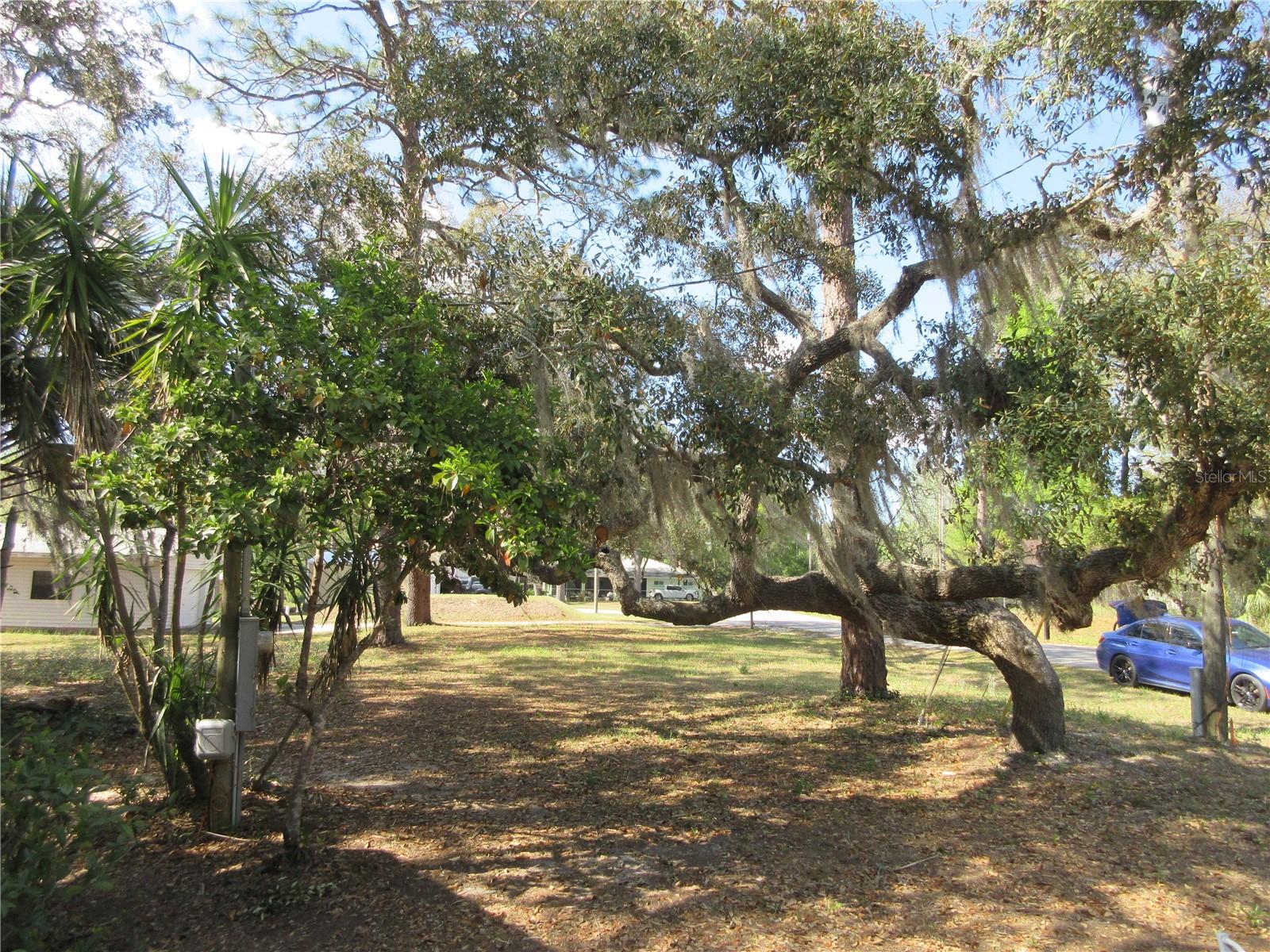 180 SE 167TH CT, SILVER SPRINGS, FL, 34488